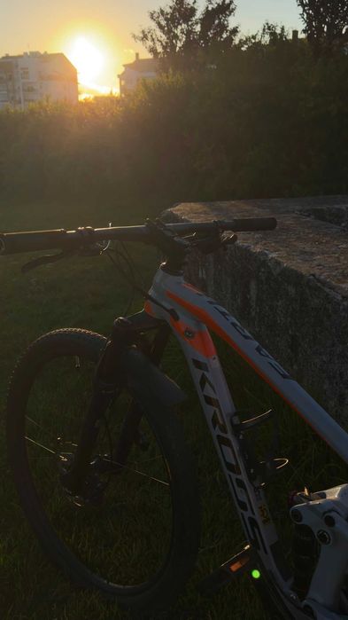 Bicicleta btt L