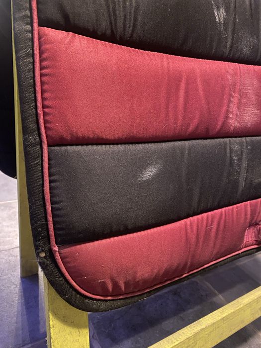 Trzy czapraki wszechstronne