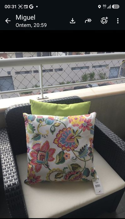 Conjunto de jardim