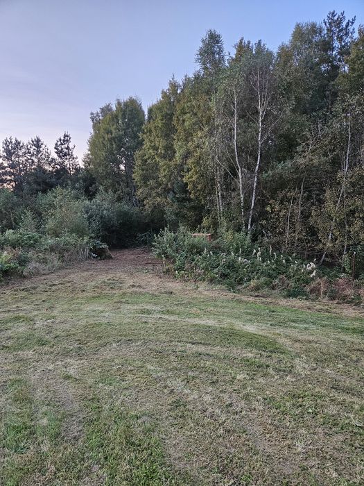 czyszczenie oczyszczanie działek nieużytków