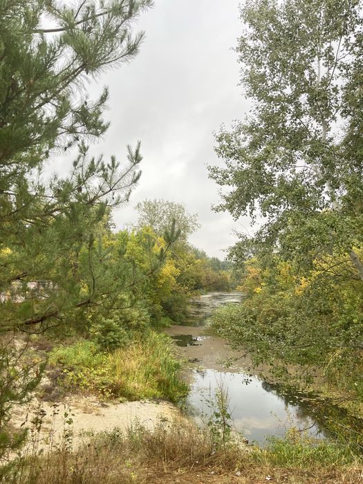 Продається земельна ділянка 1,5 га Китайгород Дніпропетровської обл