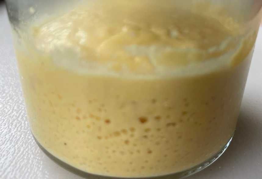 Bezglutenowy zakwas kukurydziany domowy aktywny do pieczenia chleba