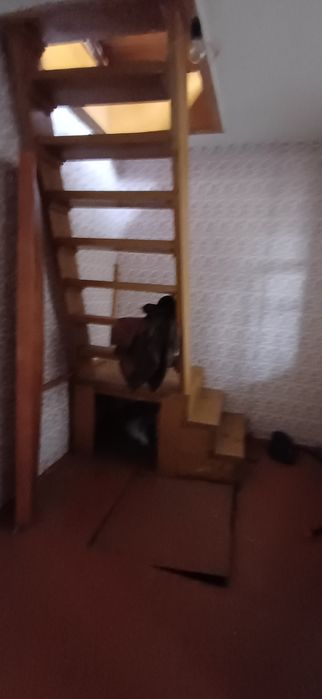 Будинок капітальний дача  біля лісу  С. Благодатне