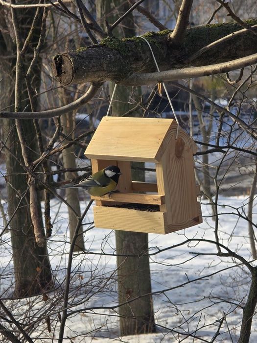 Кормушка для птиц