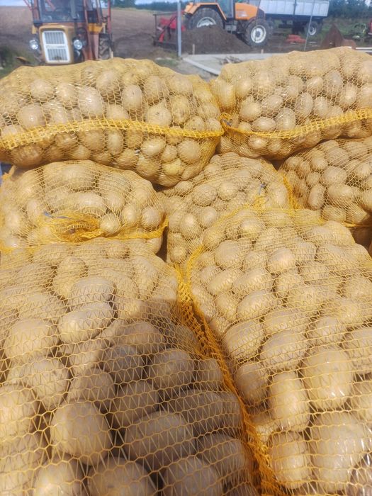 Riviera po centrali 55+.