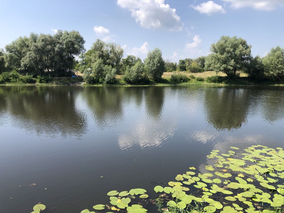 Продам земельный участок с. Рожны