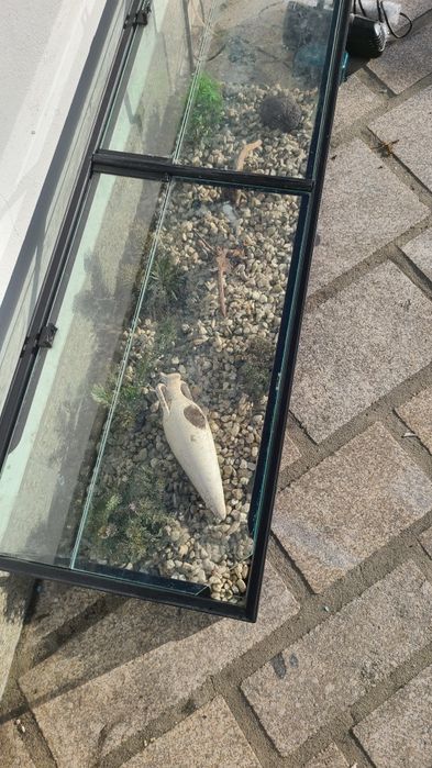 Aquario completo 120L