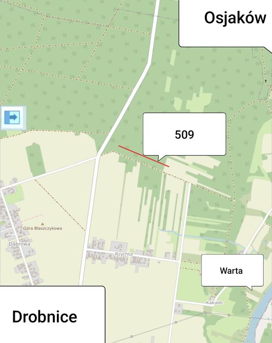 Sprzedam lasy w Drobnicach