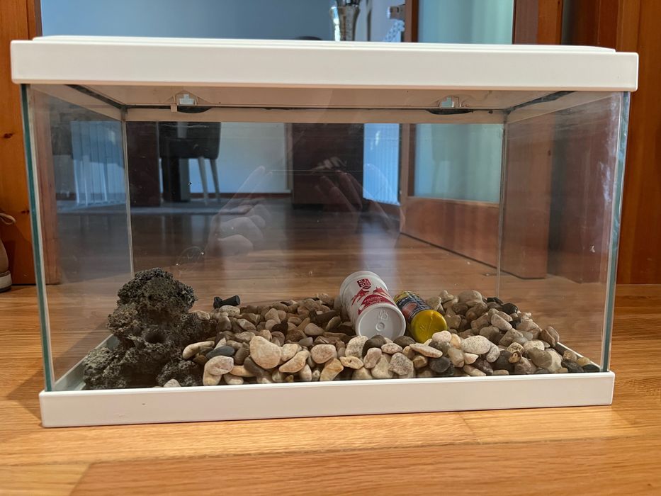 Aquário em vidro ~15L com tampa branca – Bom estado