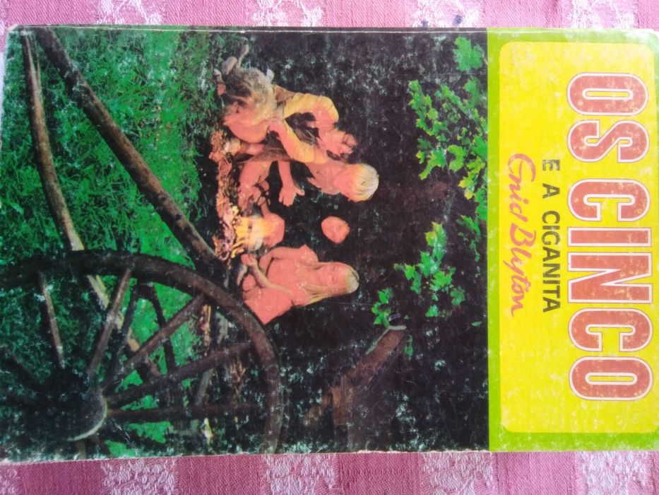 Livros dos Cinco - portes grátis