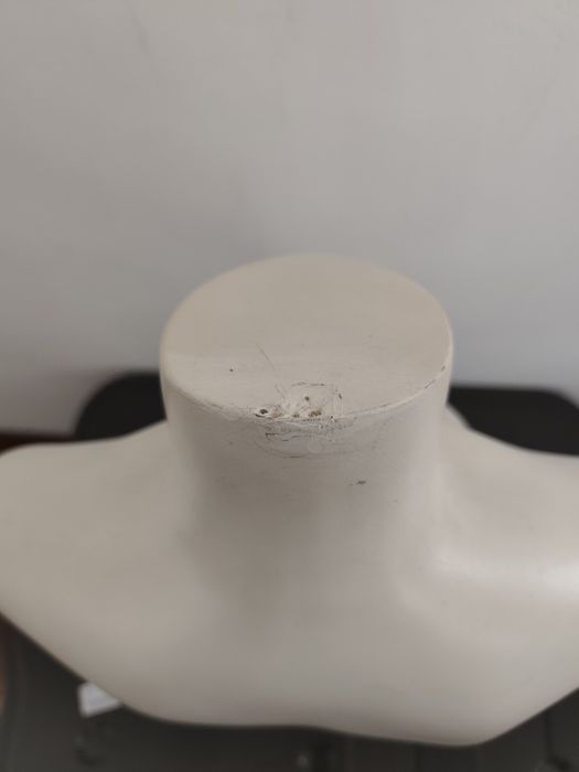 Busto de senhora em plástico