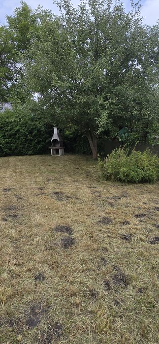 Działka- Rodzinne ogrody działkowe