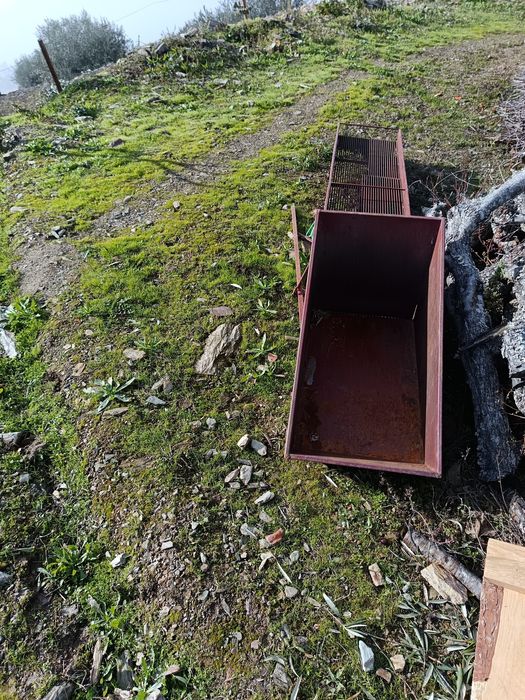 Erguedeira de azeitona.