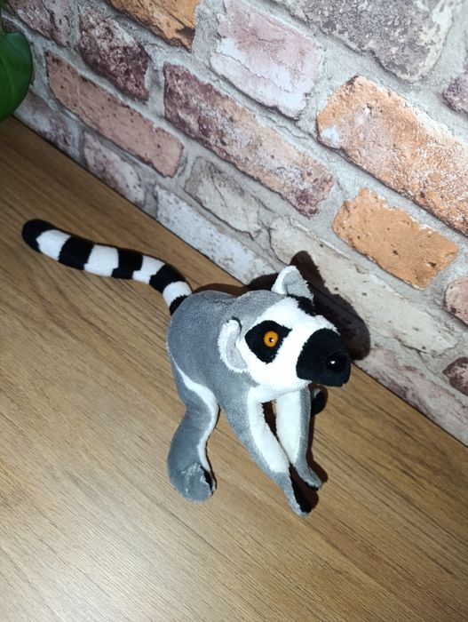 Maskotka lemur kata jak nowa