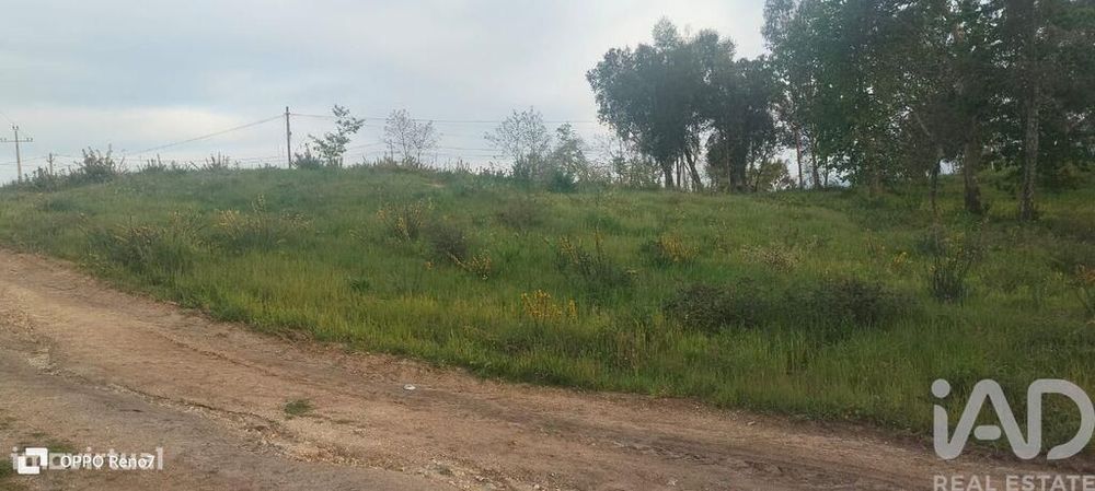 Terreno para construção em Santo isidoro e livração de 4200,00 m2