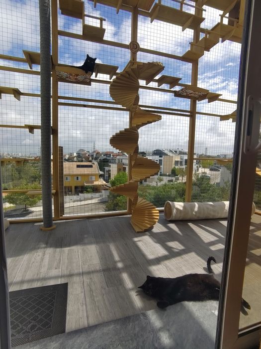 Parque exterior para gatos / Catio / CatCage / Casa para gatos