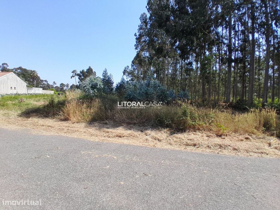 Terreno para construção em Águeda