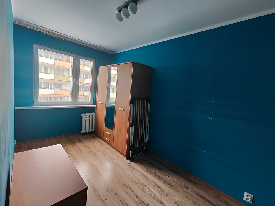 Mieszkanie 51m2 do wynajęcia