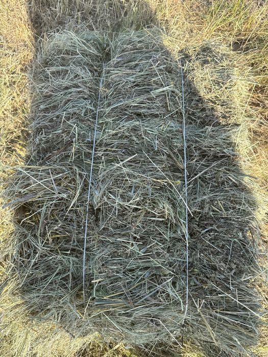 Продам сіно в тюках лугове