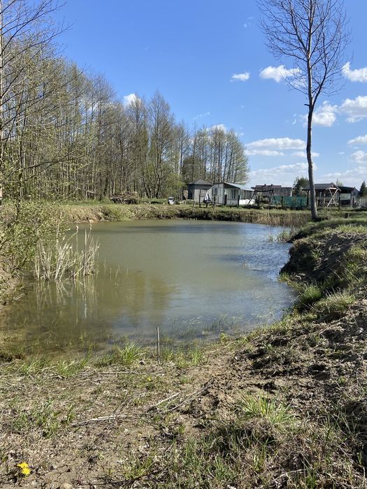Domki nad stawem
