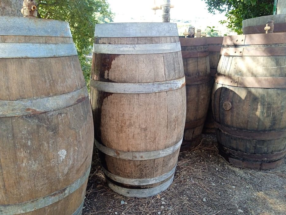 Utensílios para fazer vinho