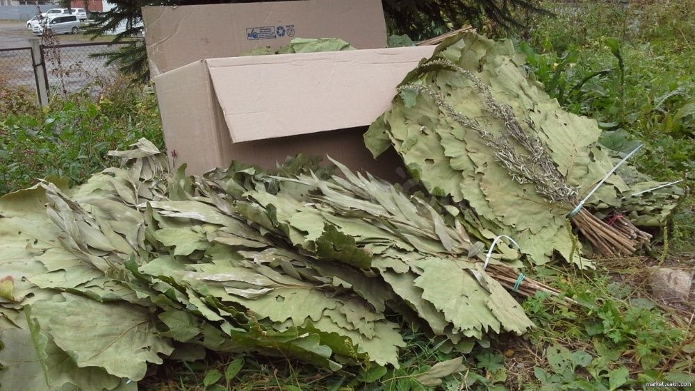 Баннi віники дуб береза євкалліпт віники для запаха полинь лаванда зві