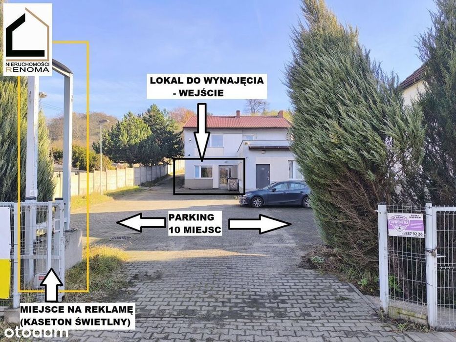 Zdjęcie 7