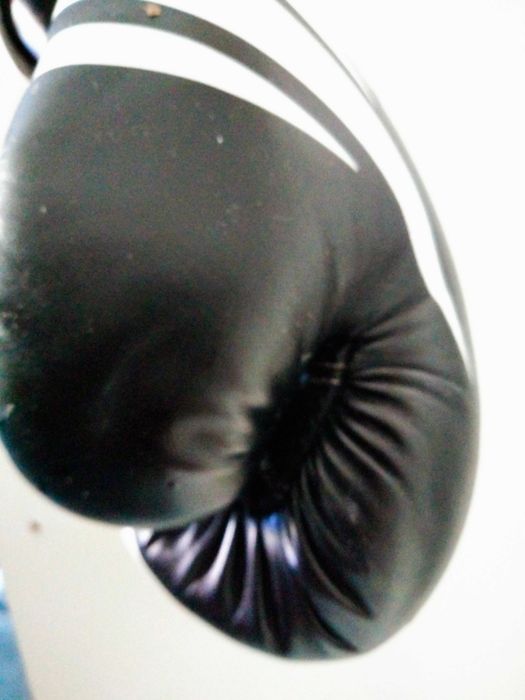 Luvas de Boxe VENUM 2.0