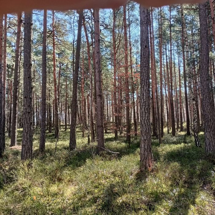 Działka  pod zabudowę jednorodzinną