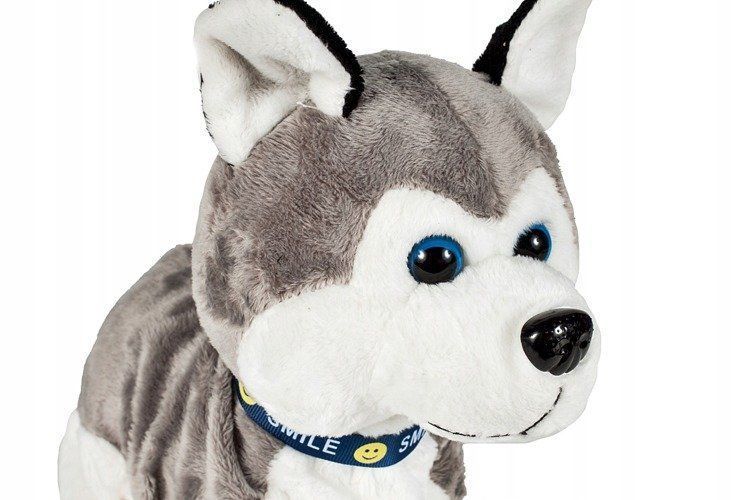 pies interaktywny piesek husky reaguje na dotyk