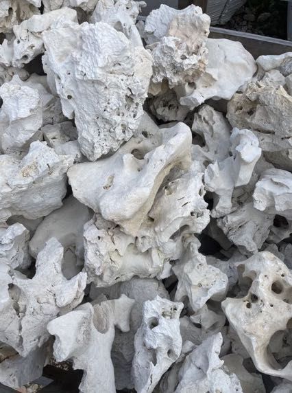 WAPIEŃ FILIPIŃSKI Wapień Mineralny Kamień Naturalny Akwarium Terrarium