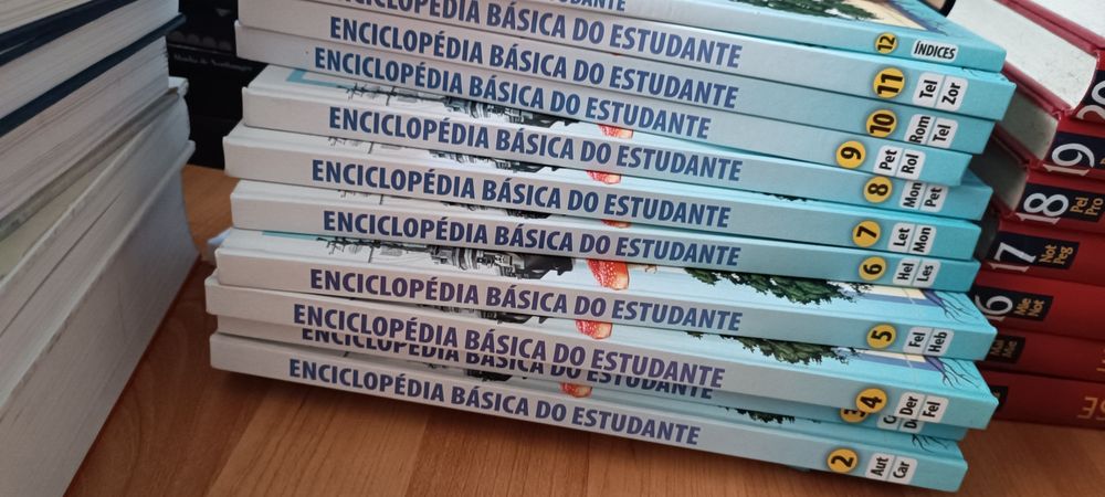 Enciclopédia do estudante 12 volumes