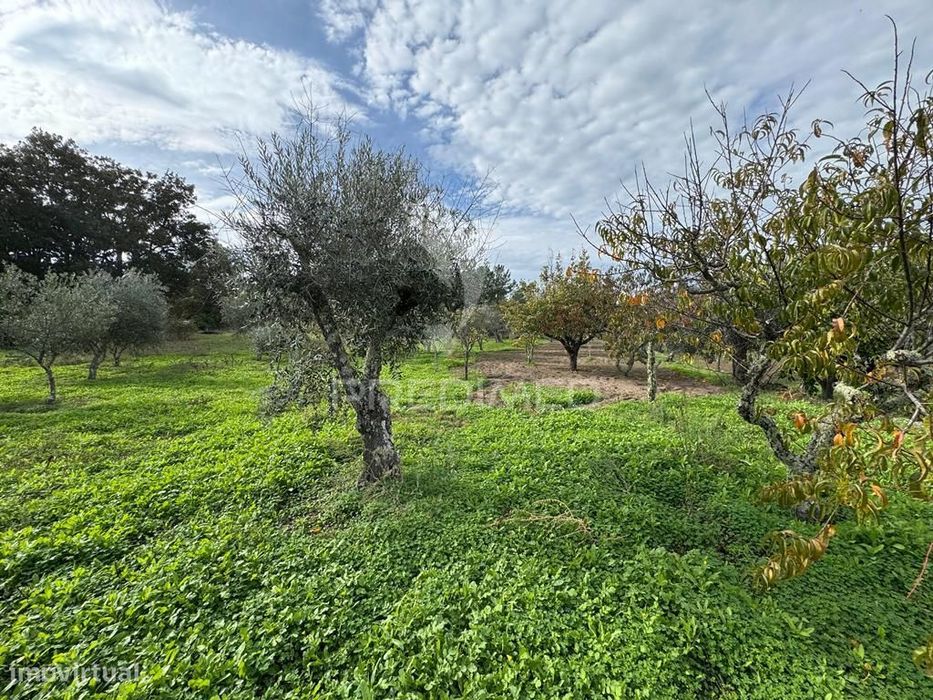 Quinta Rural T4