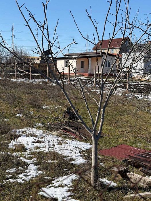 Участок 8 сот в Прилиманское