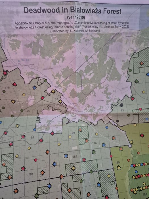 Książka Bialowieza Forest  IBL nowa 5 map