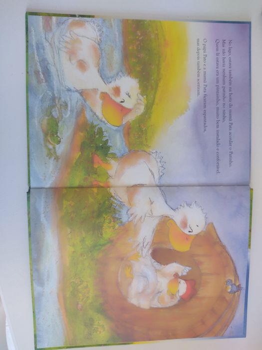 O Pintainho e o Patinho