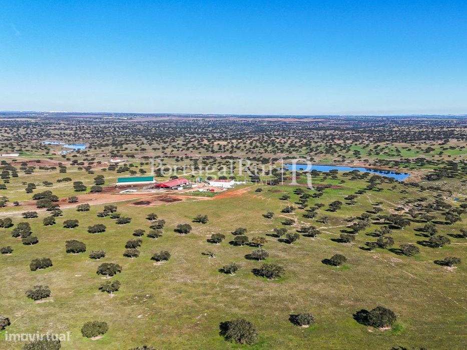 Herdade com 844 hectares - Ganadeira para pastagem e Engorda de Ani...