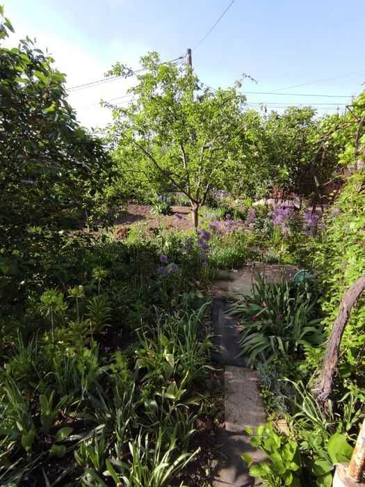 Продам  участок!   Черевичное!  Хозяйка!