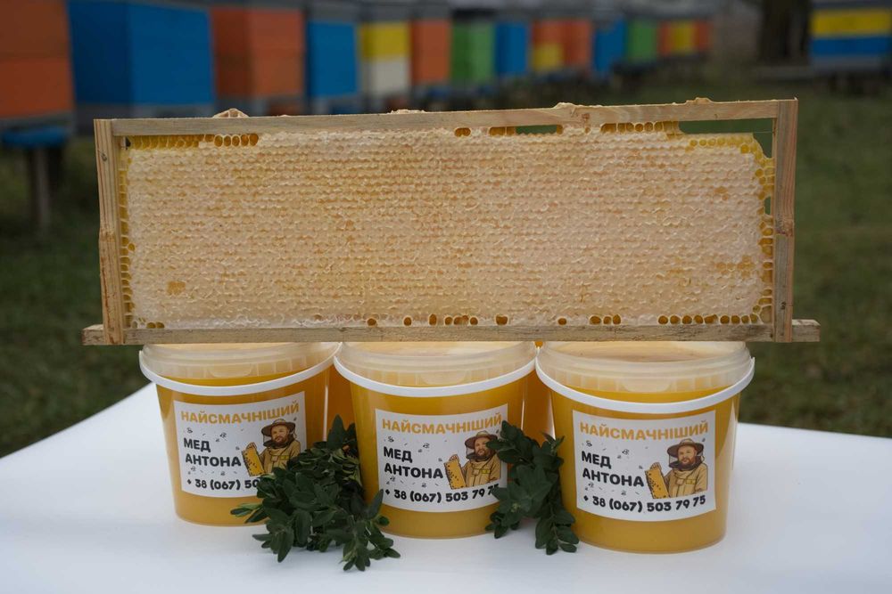Мед у сотах. Стільниковий мед. доставка!