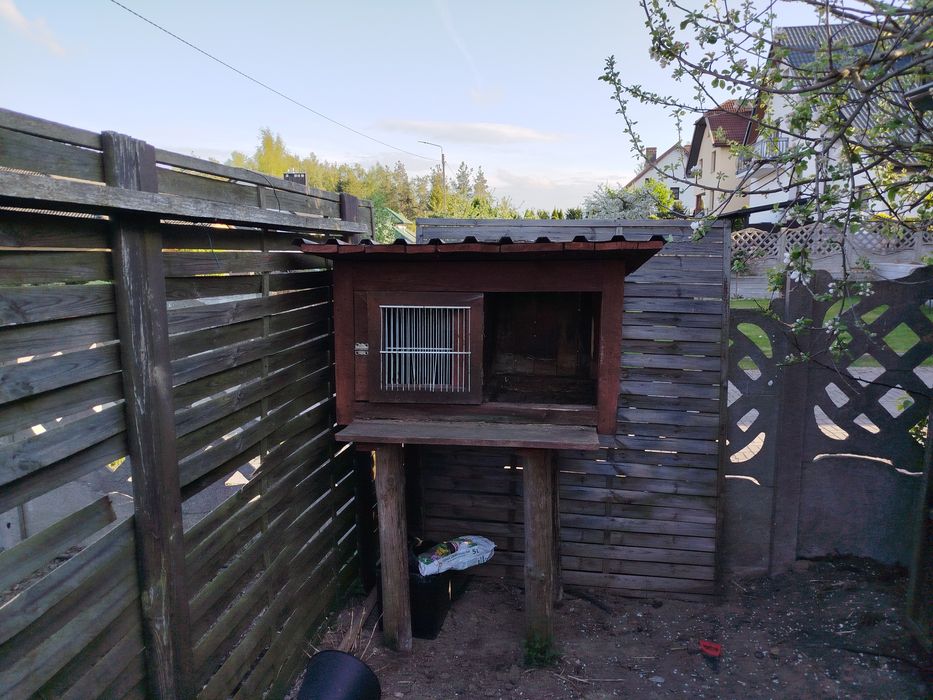 Klatka dla królików,  trysnik, tryśnik