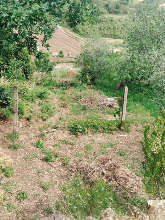 Vende-se Terreno de Cultivo com Currais para Animais – Aveleira - Penacova