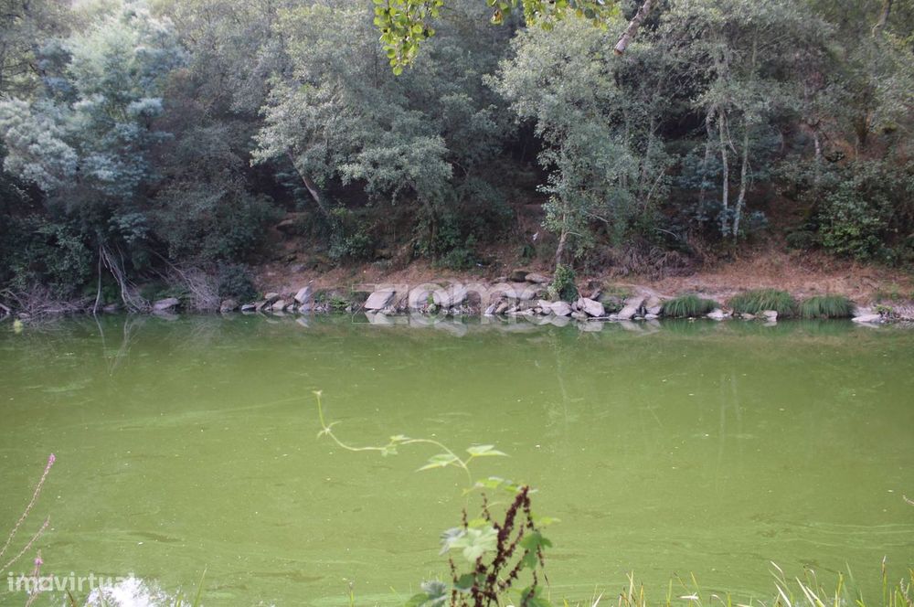 Terreno na margem do Rio Dão