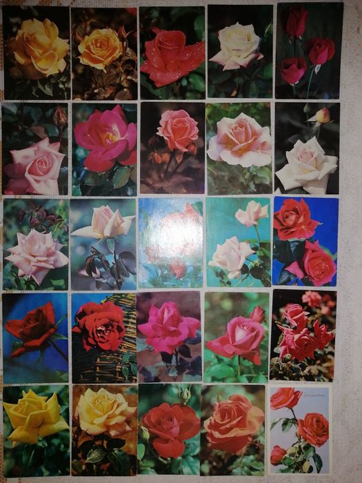 Открытки Розы, цветы. . Чисті листівки. Квіти.