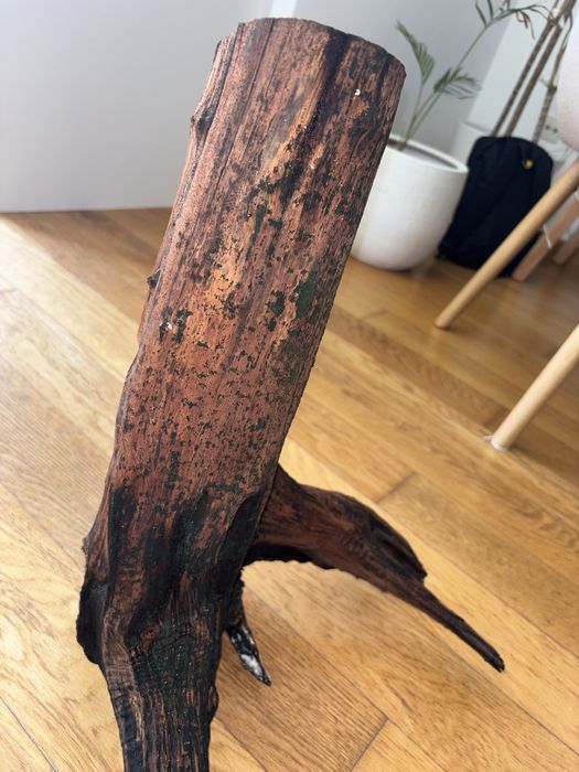 Troncos naturais para aquário
