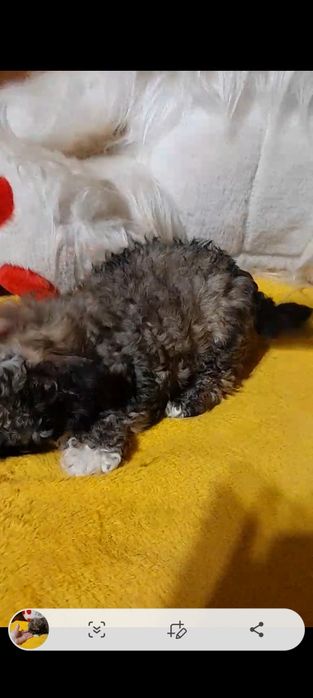 Маленькая девочка.