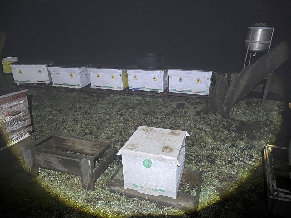 Бджолині вулики нові  та   б.у.