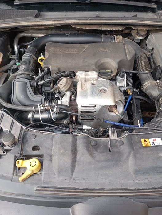 Форд фокус 13 года ЭКО бус