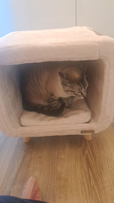 Cama/ ninho para gato