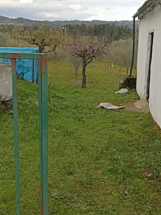 Terreno agrícola, casa, furo água, Alverca da Beira - Pinhel