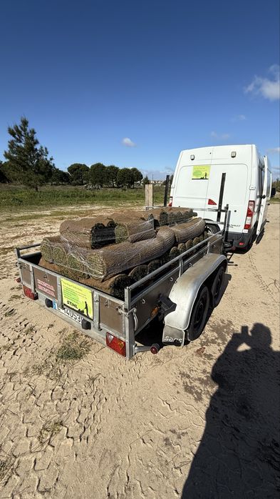 relva natural em tapete